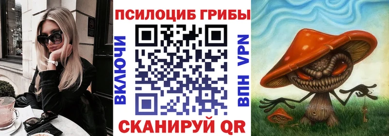 купить наркотики сайты  Томск  дарк нет формула  Псилоцибиновые грибы MAGIC MUSHROOMS 