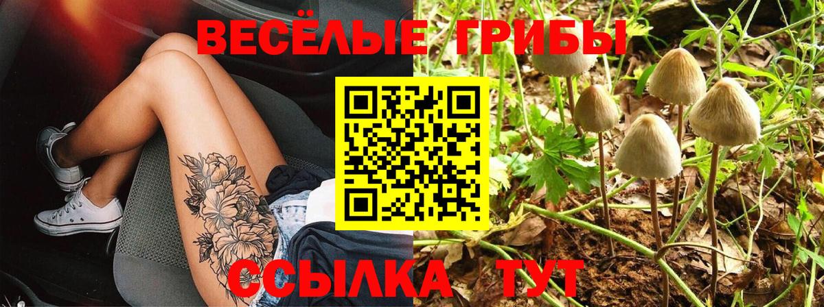 Псилоцибиновые грибы мухоморы  Вход с VPN  Томск 